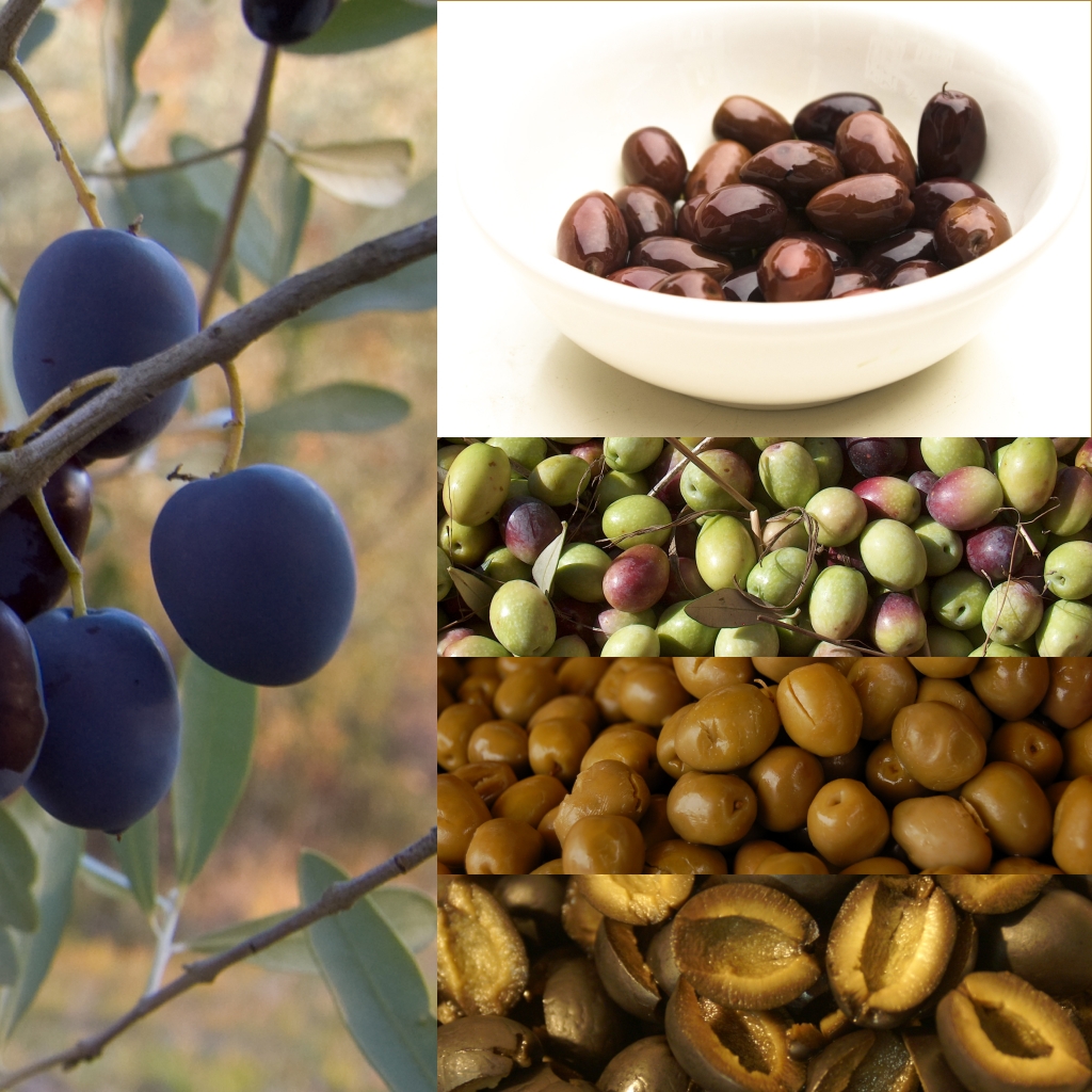 Table Olives- Olive Tree Restaurant - Platanias